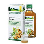 Ingwer Naturreiner Pflanzentrunk (200 ml)